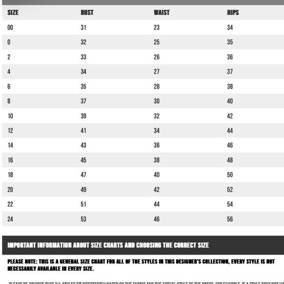 Homecoming dress - Picture 3 of 3